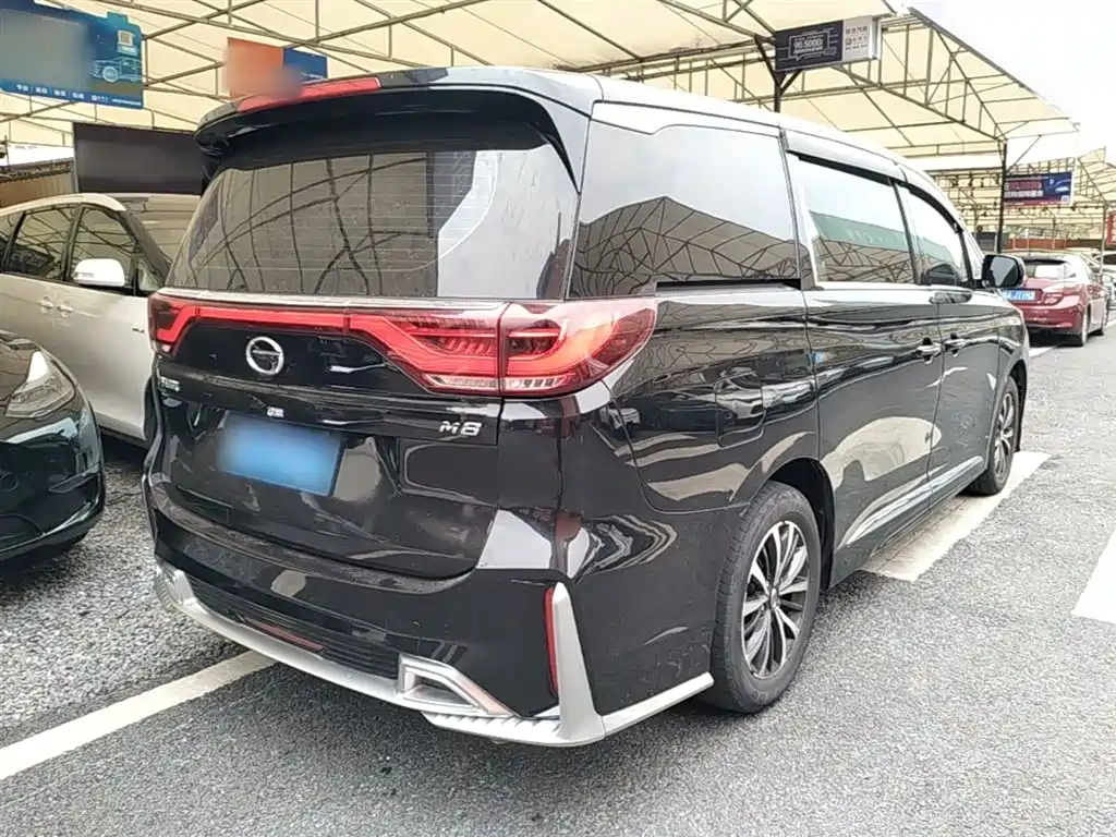 GAC Trumpchi Trumpchi M8 2021 Leading Show Series 390T Luxury Edition фото 7