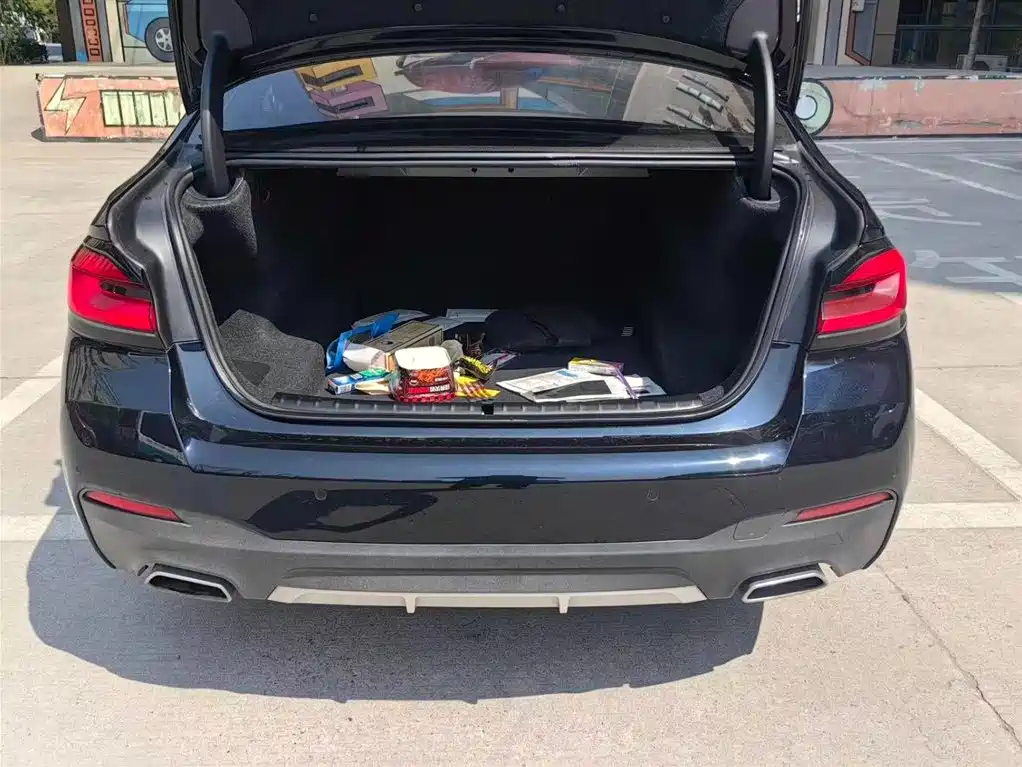 BMW 5 Series 2023 530Li Leading M Sport Package фото 15