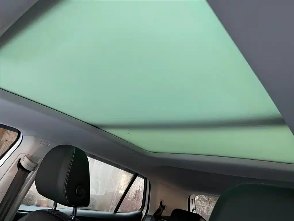 Volkswagen Tanying 2021 1.5L Automatic Smart Connect Edition фото 12