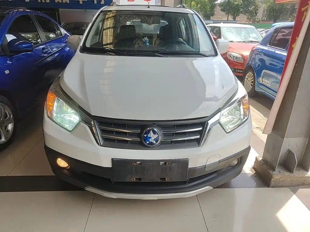 2014 Venucia R50X