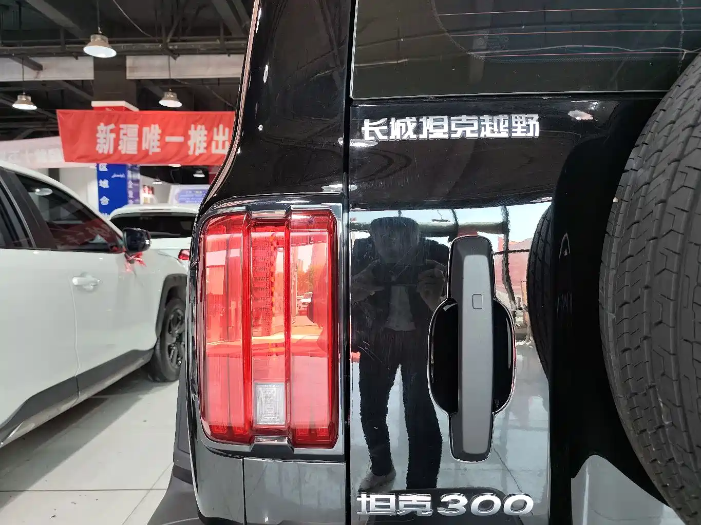 TANK 300