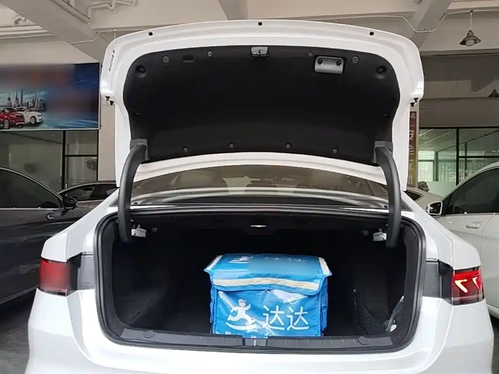 BYD Qin PLUS 2024 Glory Edition DM-i 55KM Leading фото 19