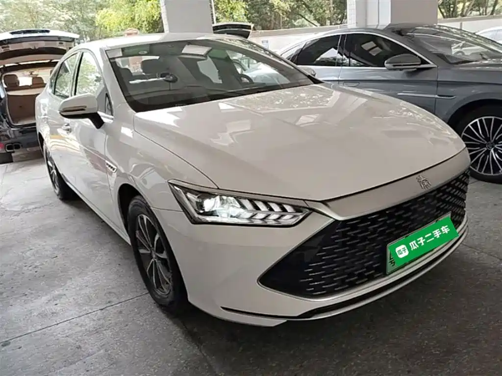 BYD Qin PLUS 2024 Glory Edition DM-i 55KM Leading фото 4