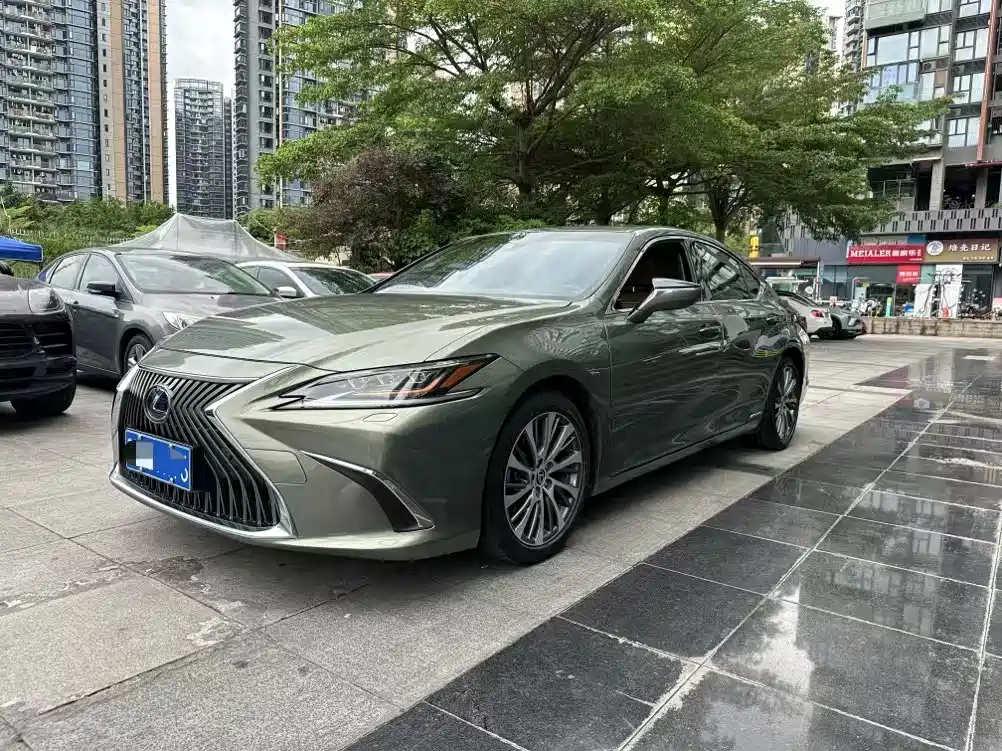 Lexus ES 2018 300h Premium Edition China V
