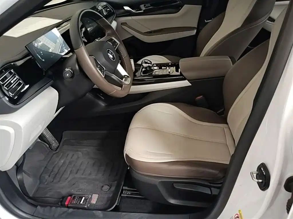 BYD Qin PLUS 2024 Glory Edition DM-i 55KM Leading фото 15