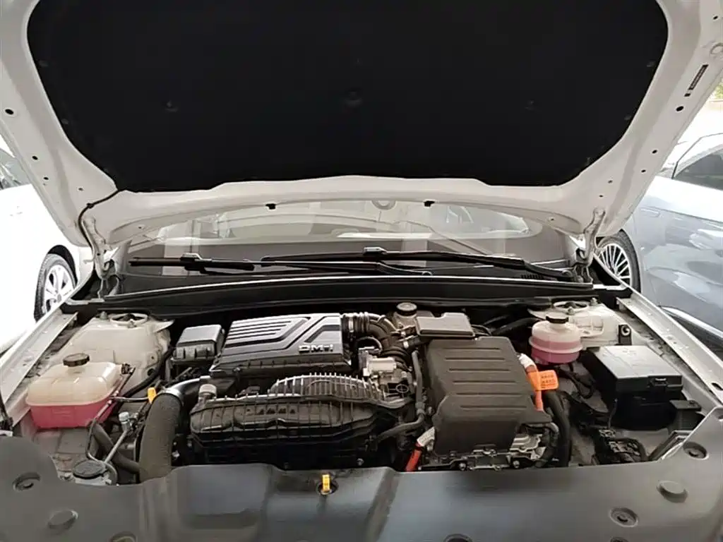 BYD Qin PLUS 2024 Glory Edition DM-i 55KM Leading фото 20