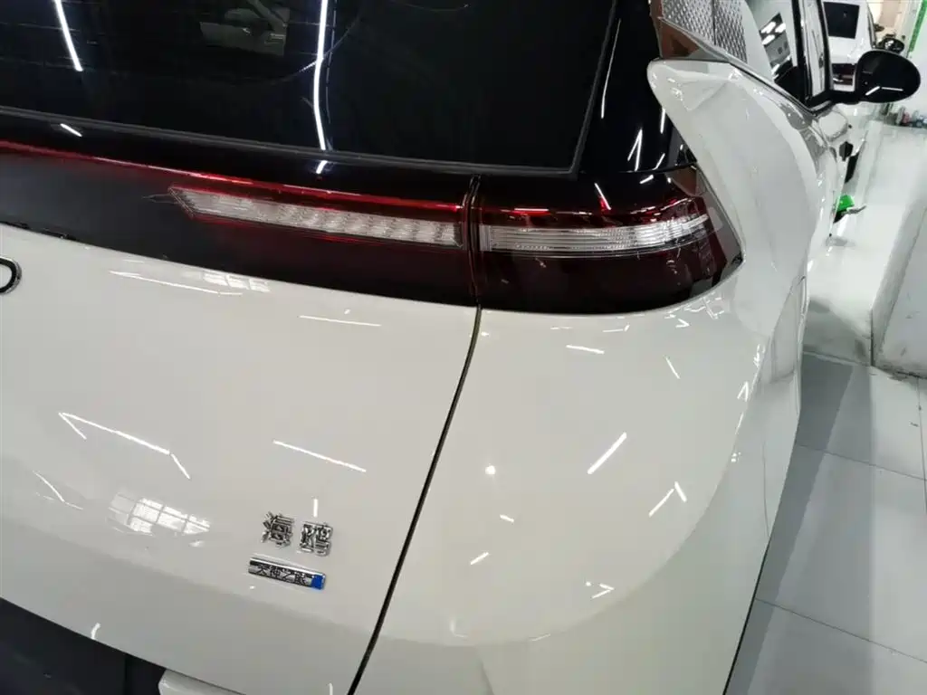 BYD Seagull 2025 Smart Drive Edition 305km Freedom Version фото 8