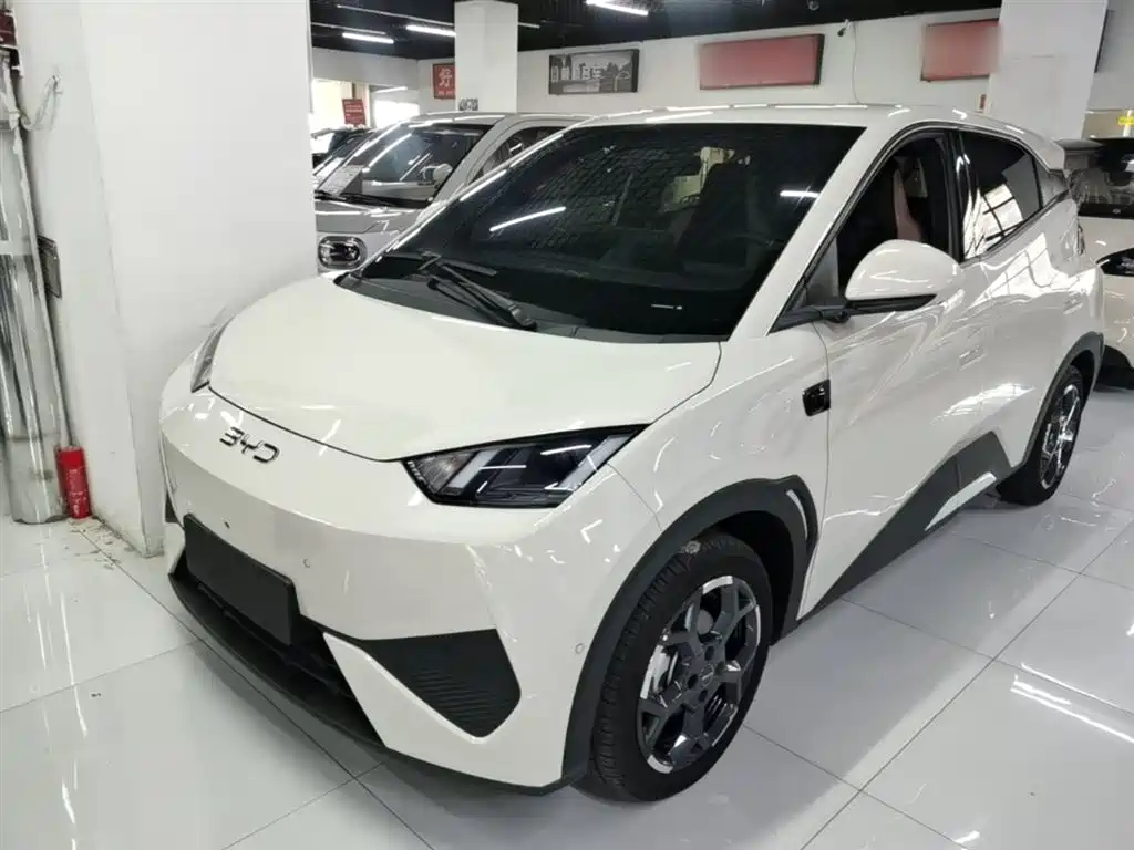 BYD Seagull 2025 Smart Drive Edition 305km Freedom Version фото 2