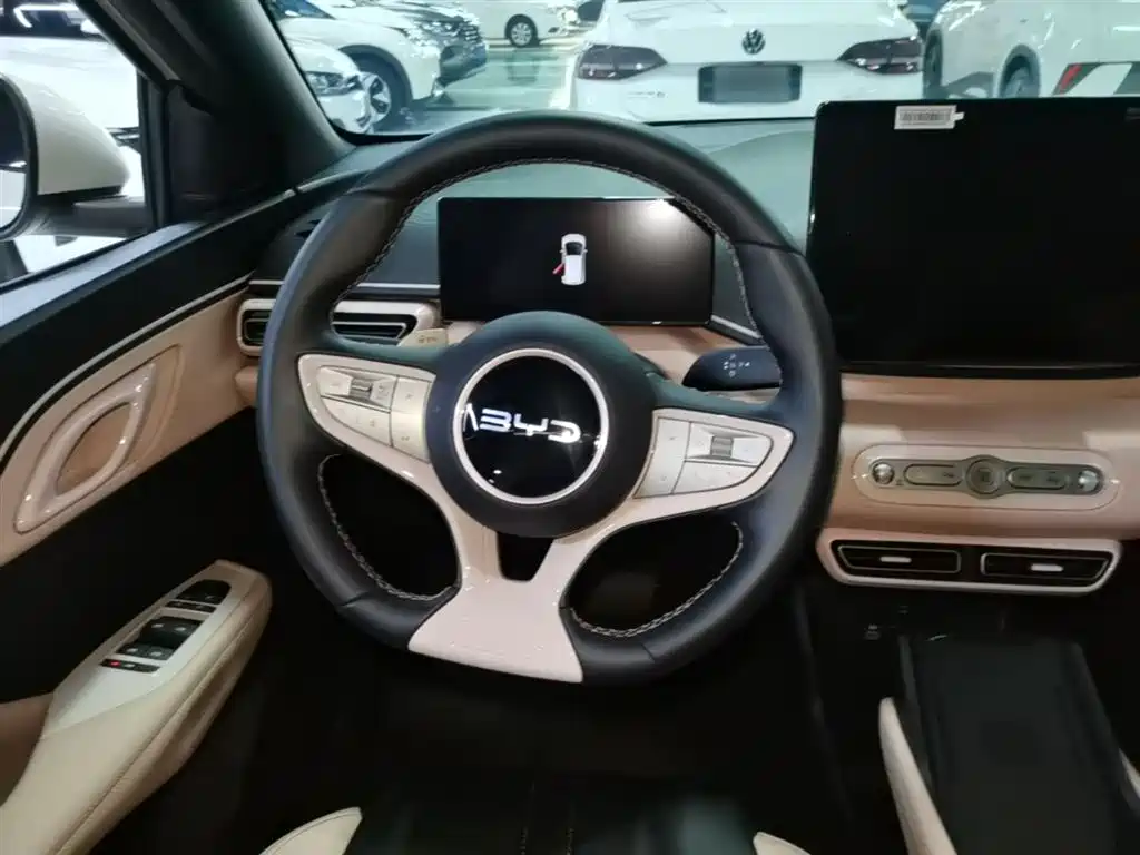 BYD Seagull 2025 Smart Drive Edition 305km Freedom Version фото 11