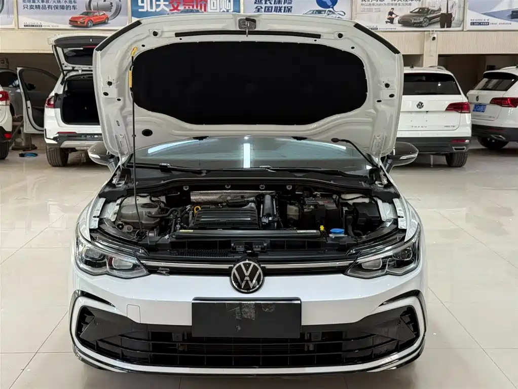 Volkswagen Golf 2021 280TSI DSG R-Line фото 7