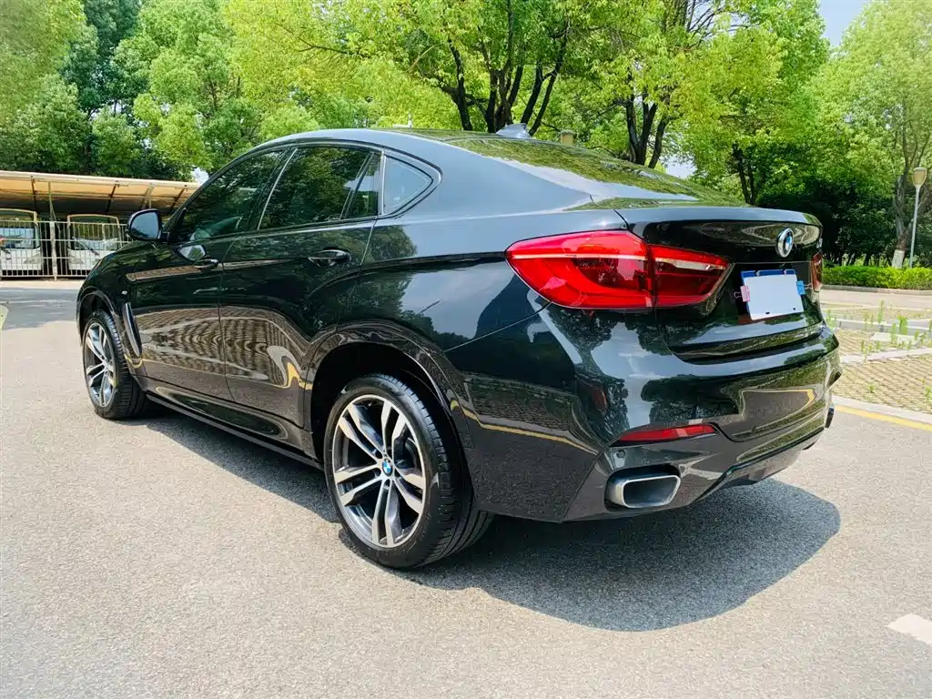 BMW X6 2018 xDrive35i M Sport Luxury Model фото 10