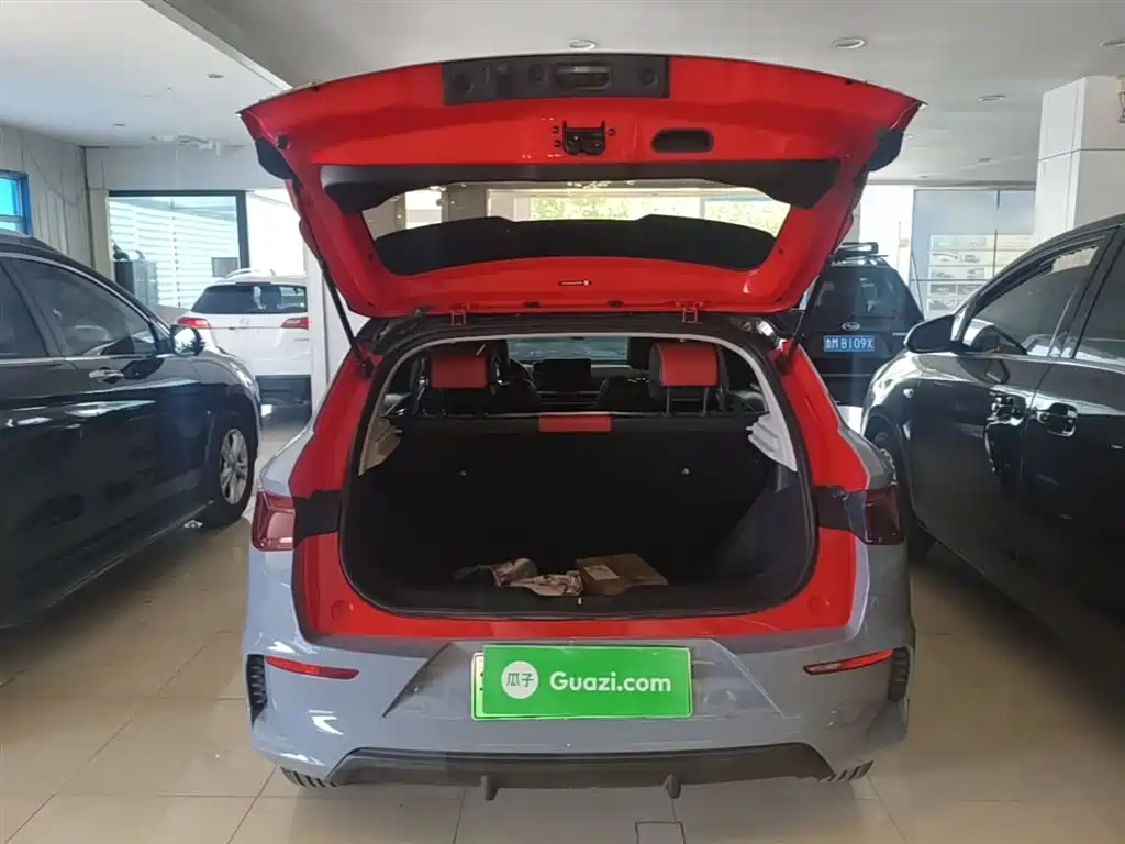 BYD e2 2019 Standard Range Intelligent Comfort фото 19