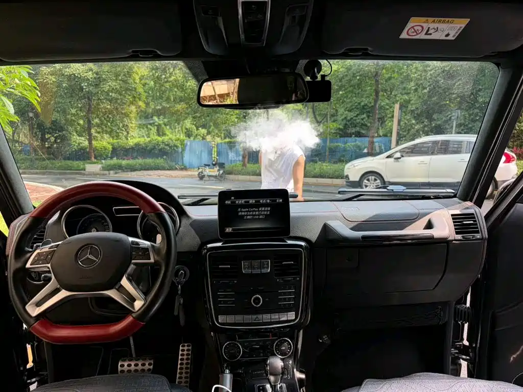 Mercedes-Benz G-Class 2017 G 500 фото 10