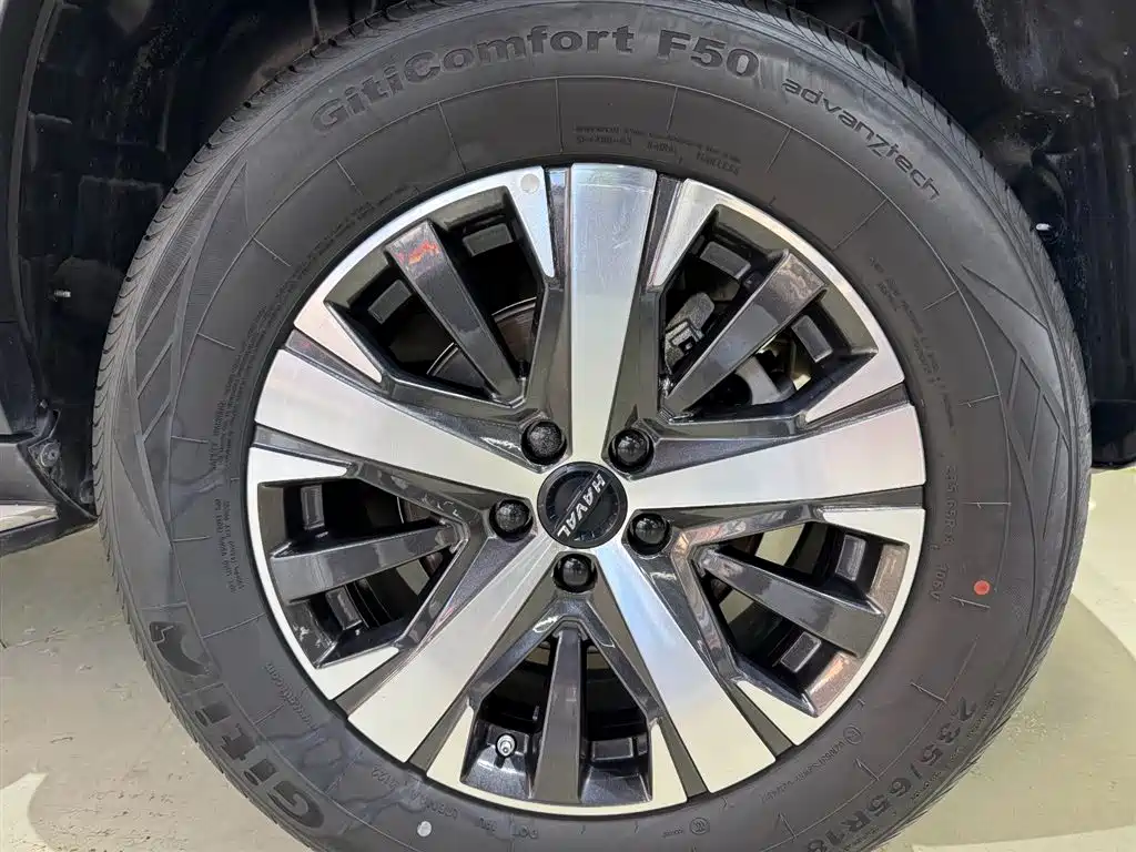 Haval Big Dog 2021 1.5T DCT 2WD Labrador Edition фото 13