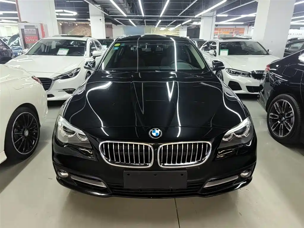 BMW 5 Series 2014 525Li Leading фото 3