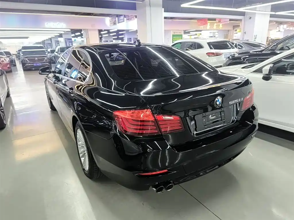 BMW 5 Series 2014 525Li Leading фото 5