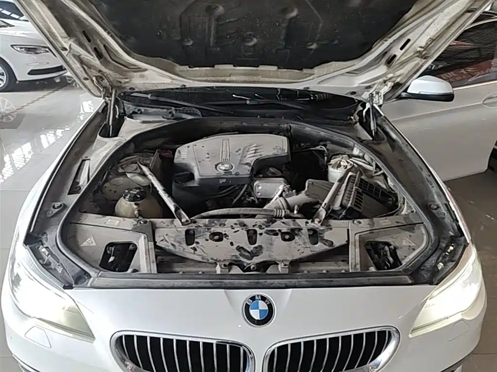 BMW 5 Series 2014 520Li Elegance фото 20