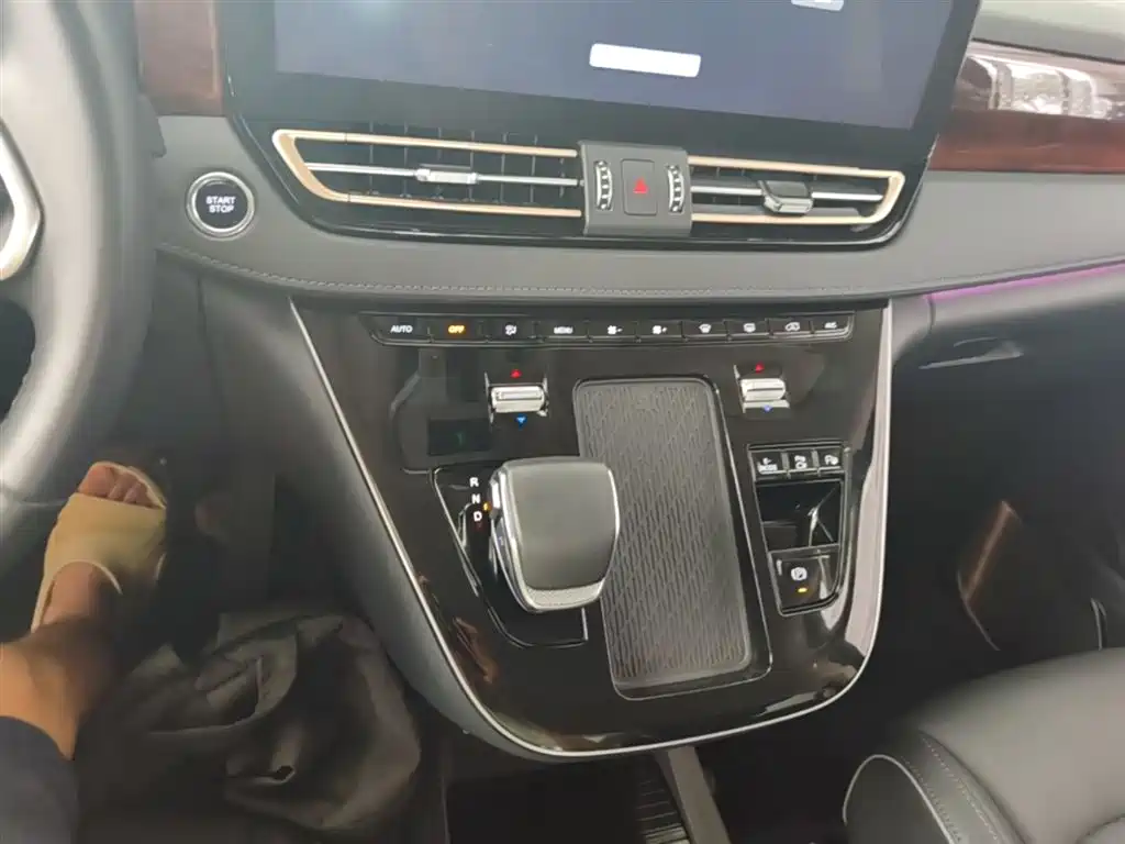 Hongqi HQ9 PHEV 2024 Model 2.0T AWD Luxury Edition фото 14