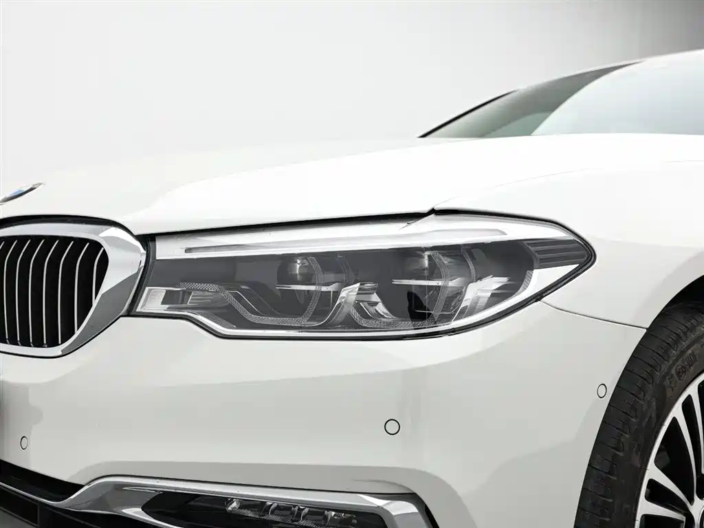 BMW 5 Series 2019 530Li Premium Luxury Package фото 18