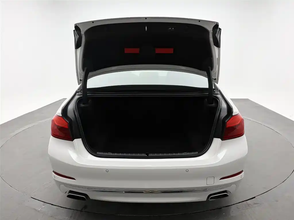BMW 5 Series 2019 530Li Premium Luxury Package фото 8