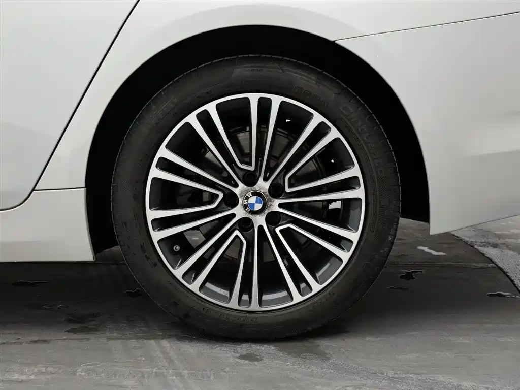 BMW 5 Series 2019 530Li Premium Luxury Package фото 9
