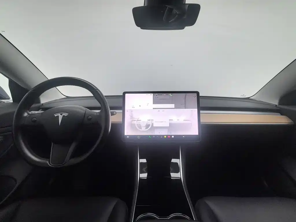 Tesla Model 3 (Import) 2019 2019 Long Range All-Wheel Drive Edition