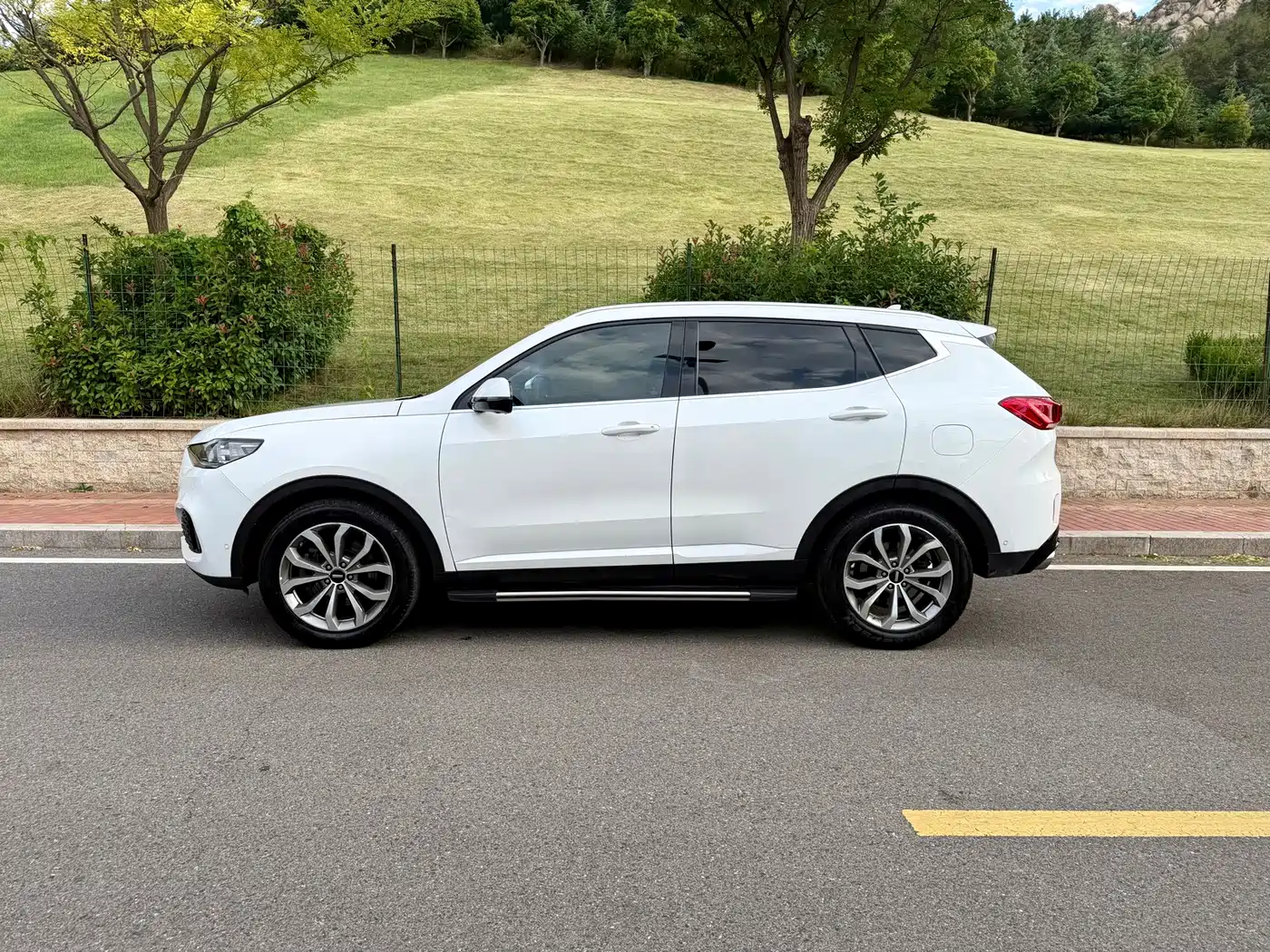WEY VV6 2019 2018 2.0T 2WD Flagship China V