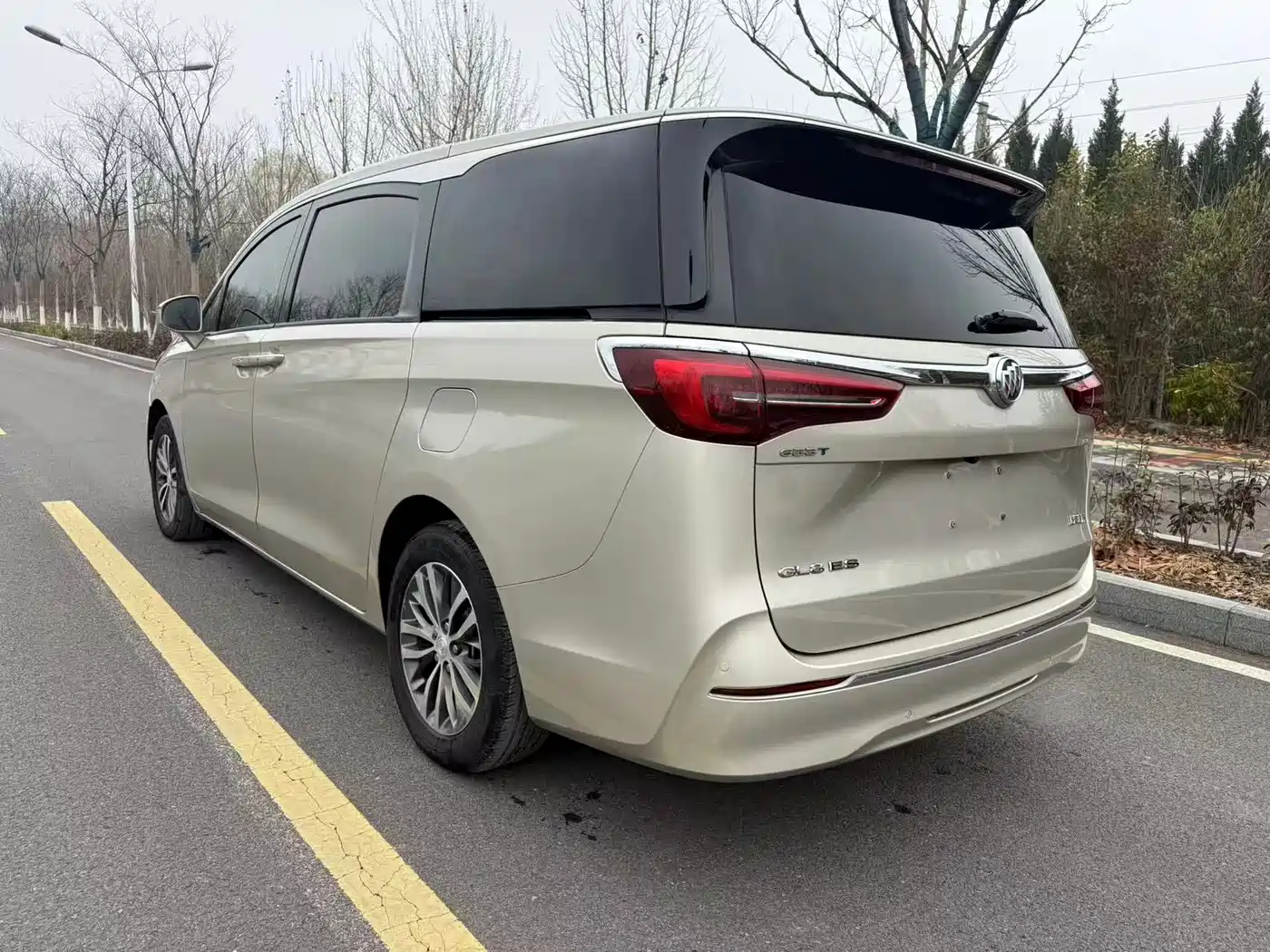 Buick GL8 2022 ES Landmark 653T Comfort фото 5
