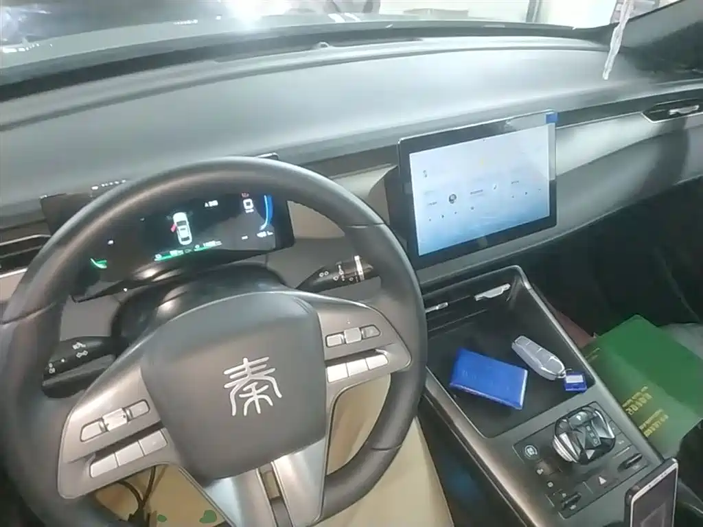 BYD Qin PLUS 2025 DM-i Smart Drive 55KM Leader фото 10