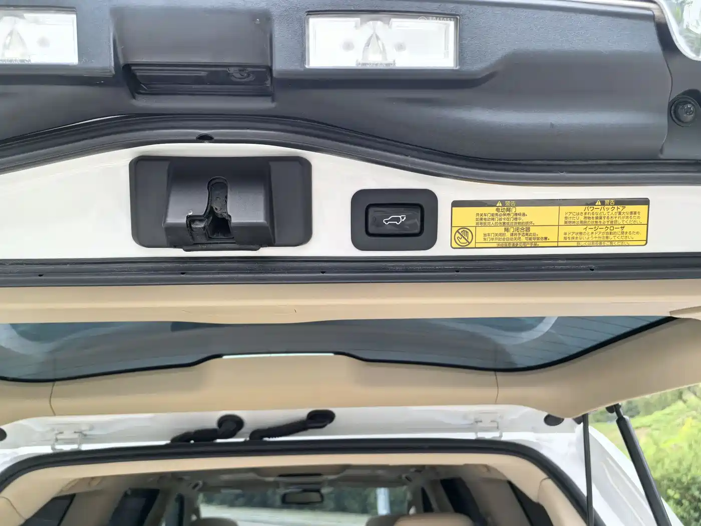 Lexus LX 2009 2009 570