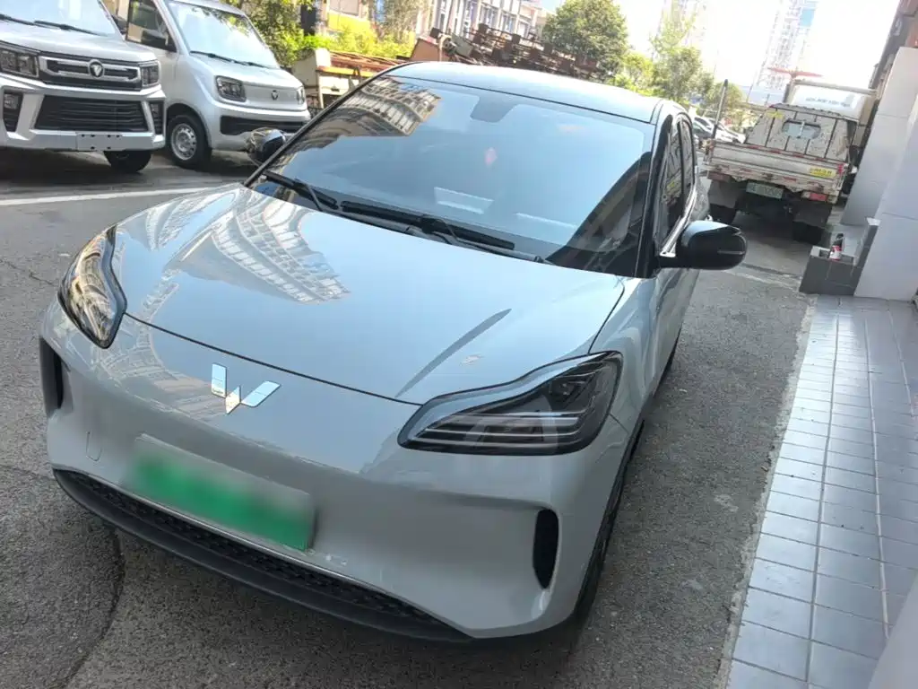 Wuling Motors Wuling Binguo PLUS 2025 2024 Model 330km 5-Seater