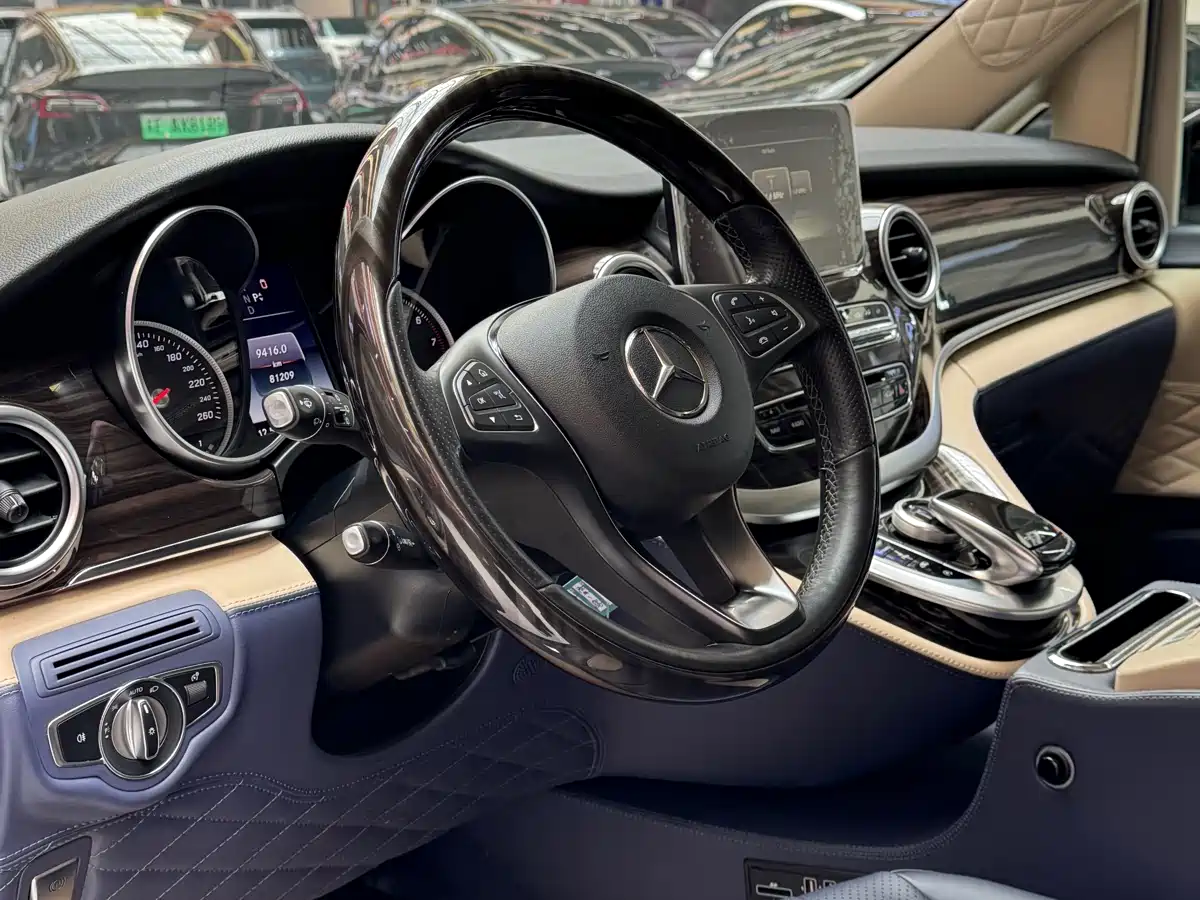 Mercedes-Benz V-Class 2018 V 260 Pilot Edition China V фото 5