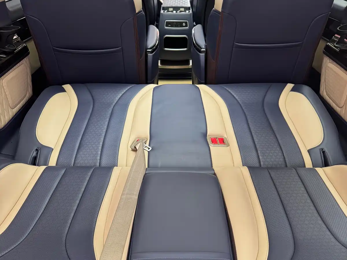 Mercedes-Benz V-Class 2018 V 260 Pilot Edition China V фото 12