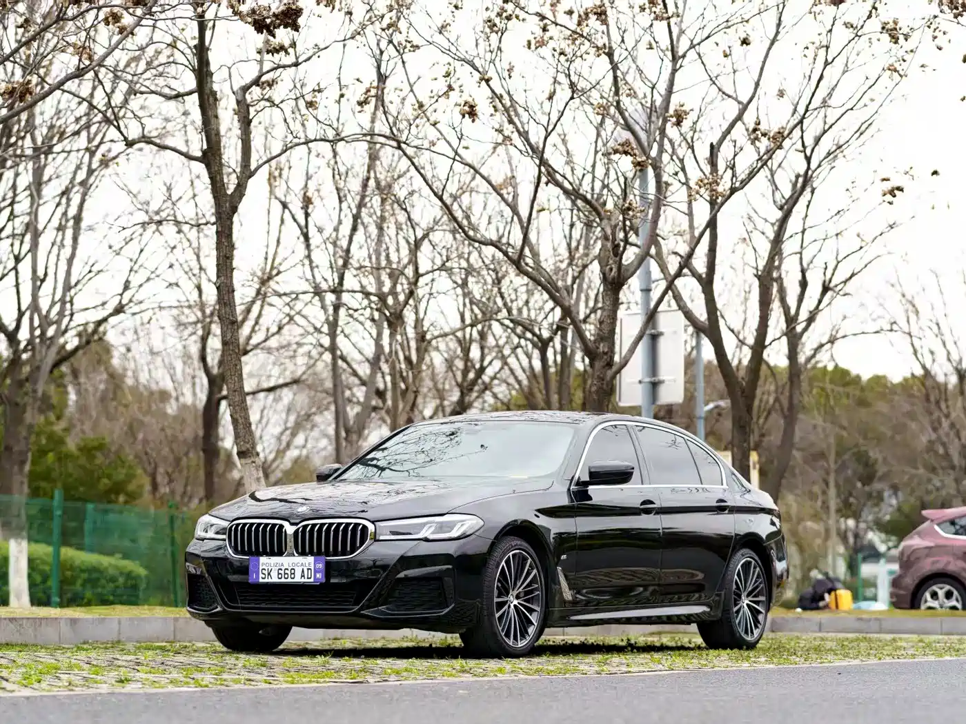 BMW 5 Series 2021 530Li Leading M Sport Package