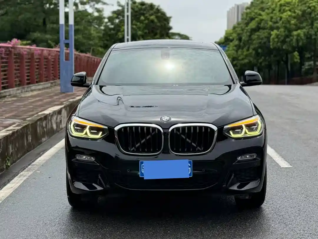 BMW X4 2019 xDrive25i M Sport Package