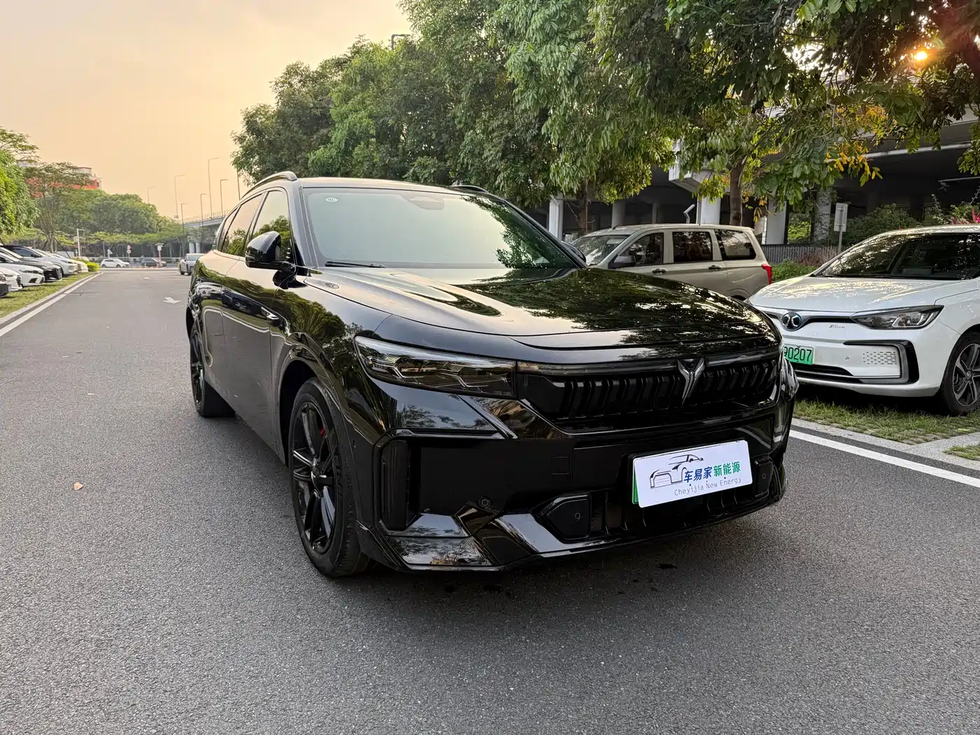 Voyah Auto VOYAH FREE 2025 318 318km RWD Touring Edition фото 7