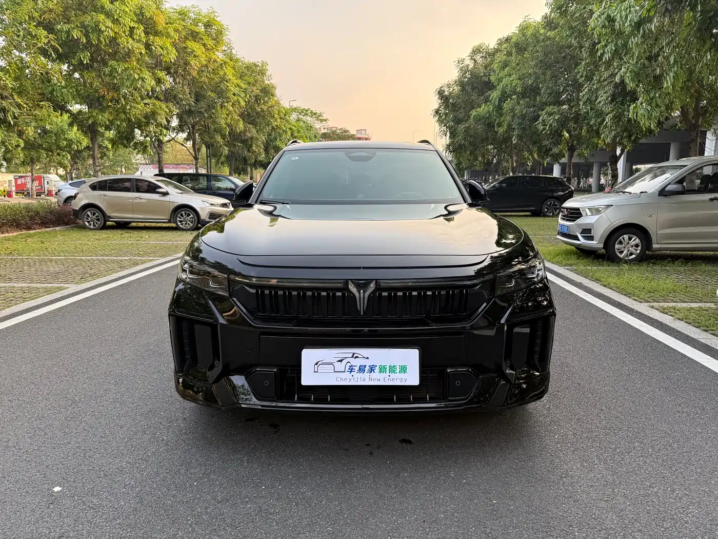 Voyah Auto VOYAH FREE 2025 318 318km RWD Touring Edition фото 8