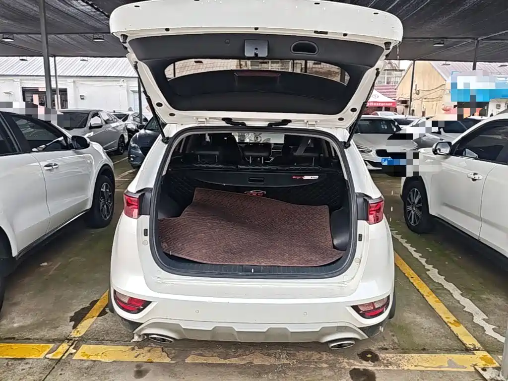 Kia KX5 2019 2019 1.6T Automatic 2WD Luxury Edition
