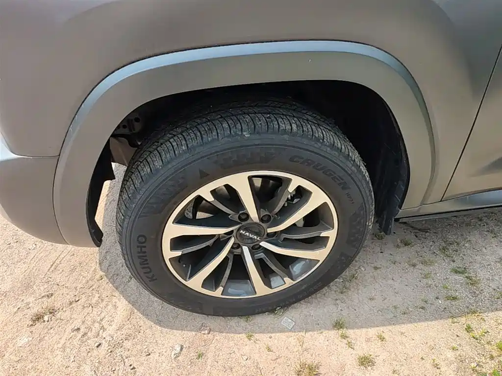 Haval H9 2024 2.0T Gasoline AWD Extreme Edition фото 23