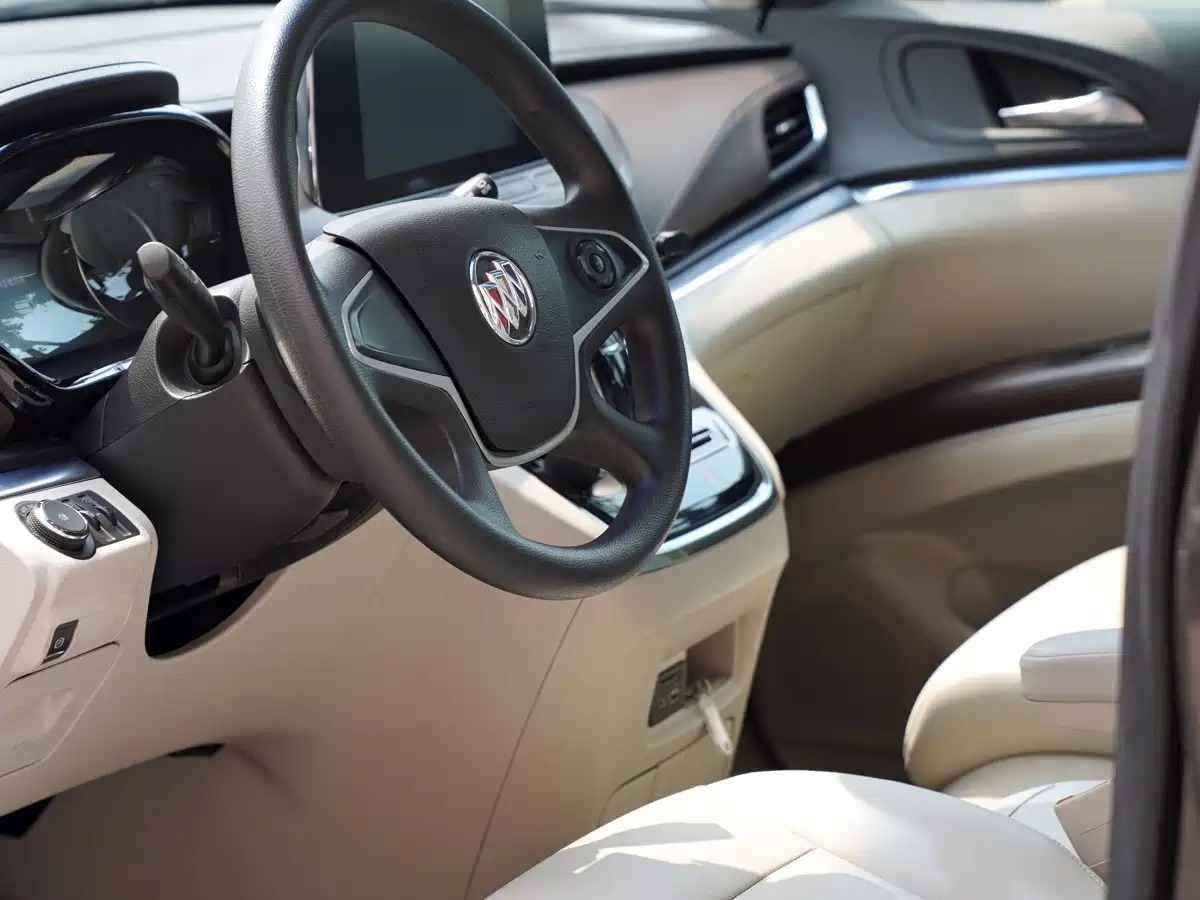 Buick GL8 2022 Land Business Class 652T Luxury фото 9