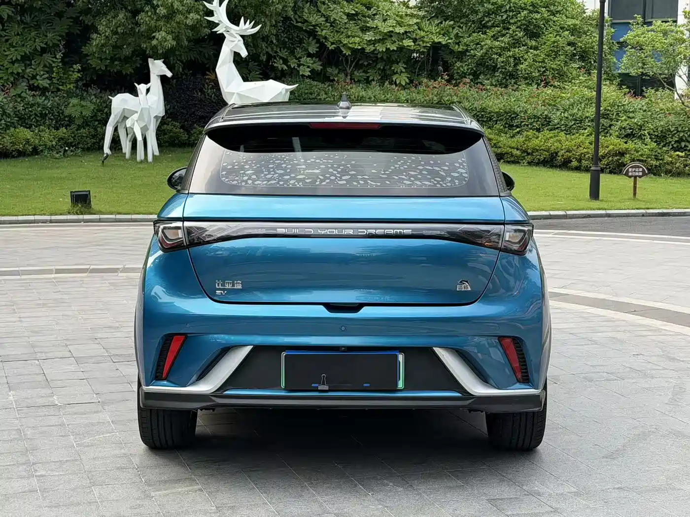BYD Dolphin 2021 401km Knight Edition фото 4