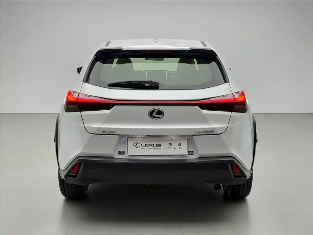 Lexus UX 2020 260h Explore Cool Edition China V фото 17