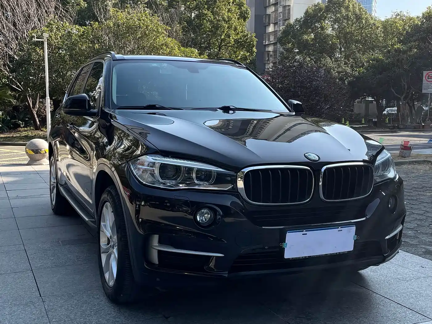 BMW X5 (Import) 2014 xDrive35i Elegance фото 3