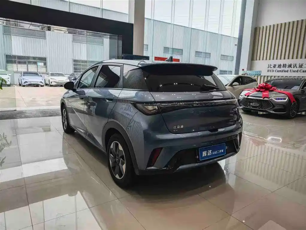 BYD Dolphin 2024 Glory Edition 420km Fashion Edition фото 7