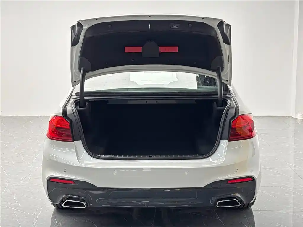 BMW 5 Series 2019 Facelift 525Li M Sport Package фото 10
