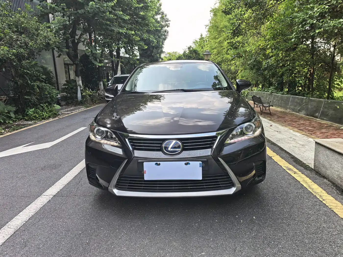 Lexus CT 2014 CT200h Elite Monochrome фото 3