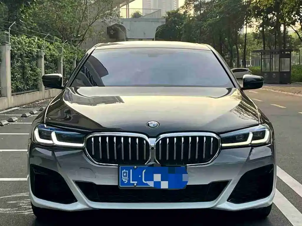 BMW 5 Series 2020 530Li Leading M Sport Package