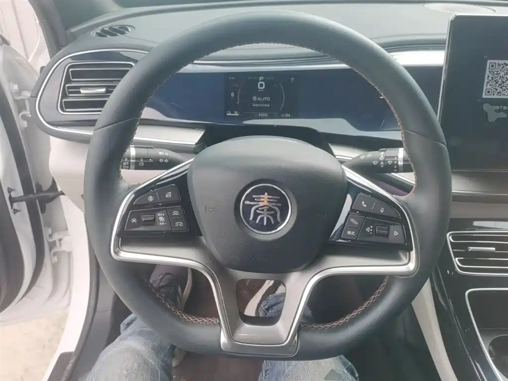 BYD Qin PLUS 2021 EV 500KM Premium Model фото 11