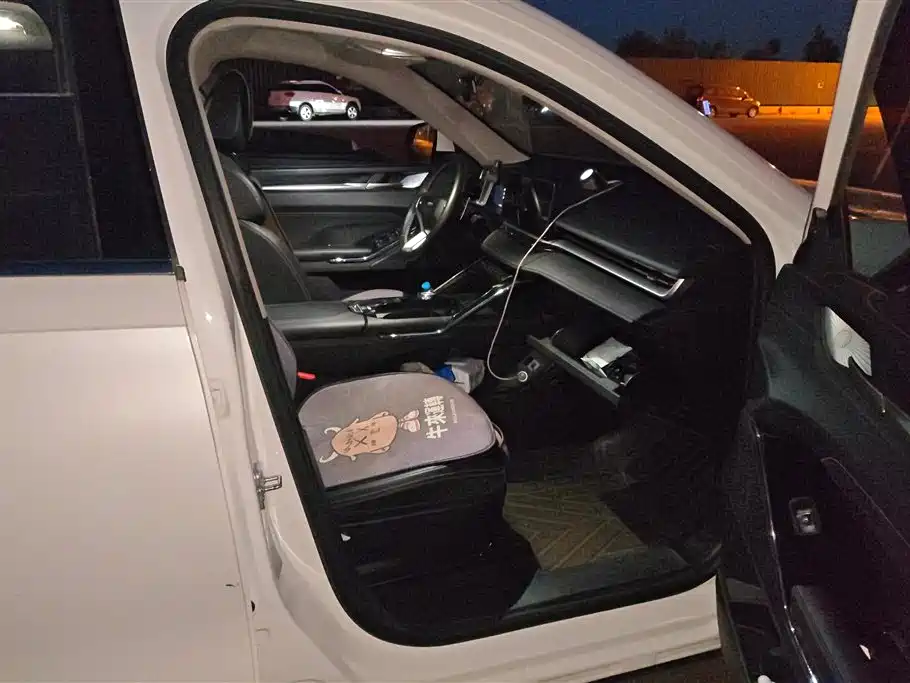 Haval H6 2021 3rd Generation 2.0T Auto 2WD Max фото 8