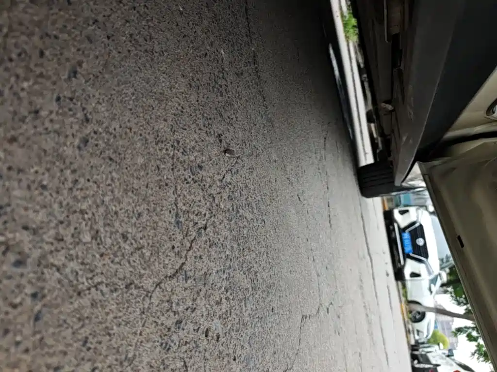 Фото 21 - BYD Dolphin